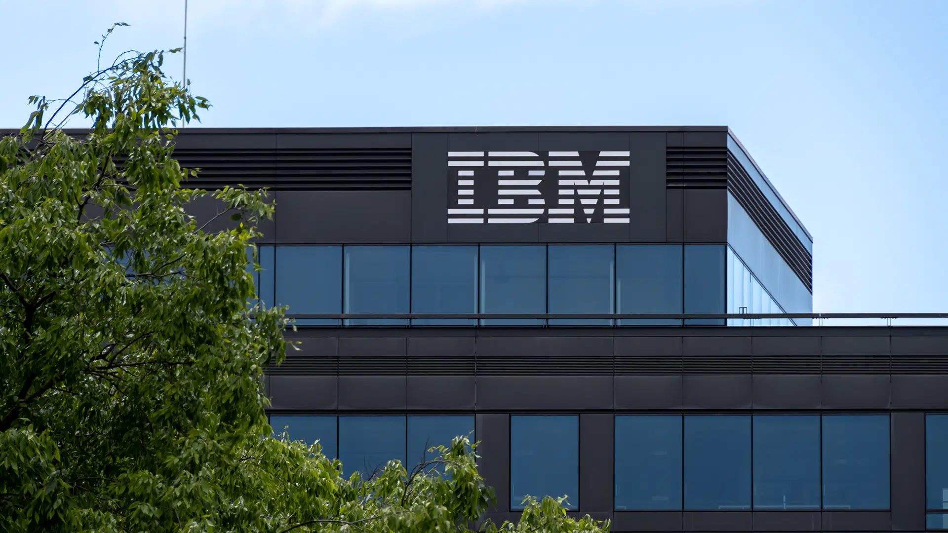IBM